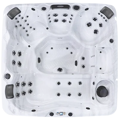 Avalon EC-867L hot tubs for sale in Richmond